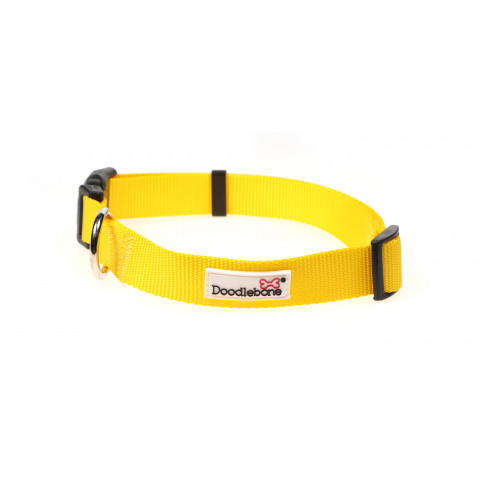 Collar Sunshine 1-2