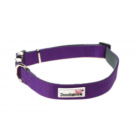 Padded Collar Violet 1-2