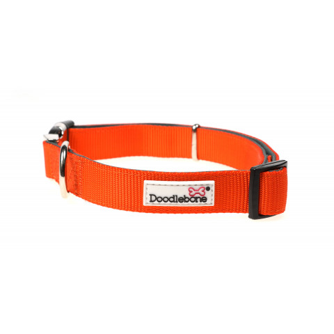 Padded Collar Tangerine 1-2