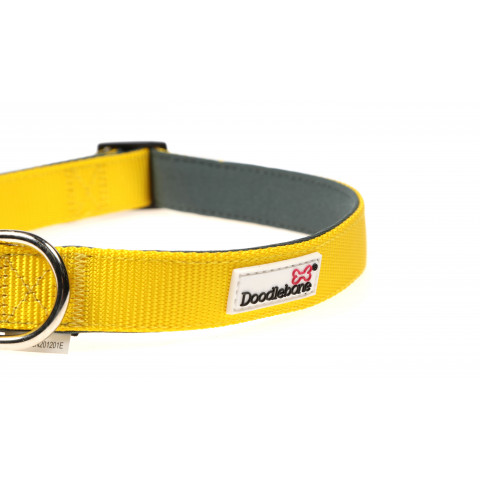 Padded Collar Sunshine 1-2