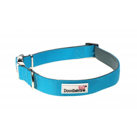 Padded Collar Aqua 1-2