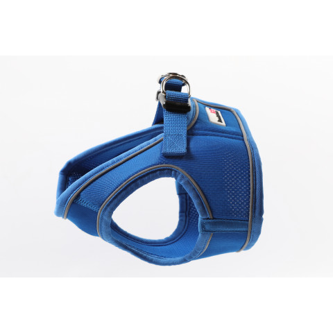 Snappy Harness Sapphire 1