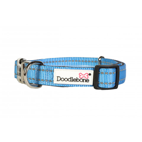 Padded Collar Cornflower 1-2