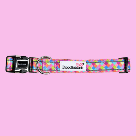 Padded Collar Retro 1-2