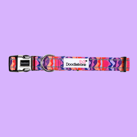 Padded Collar Dunes 3-6