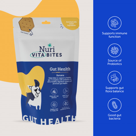 Vita Bites Gut Health